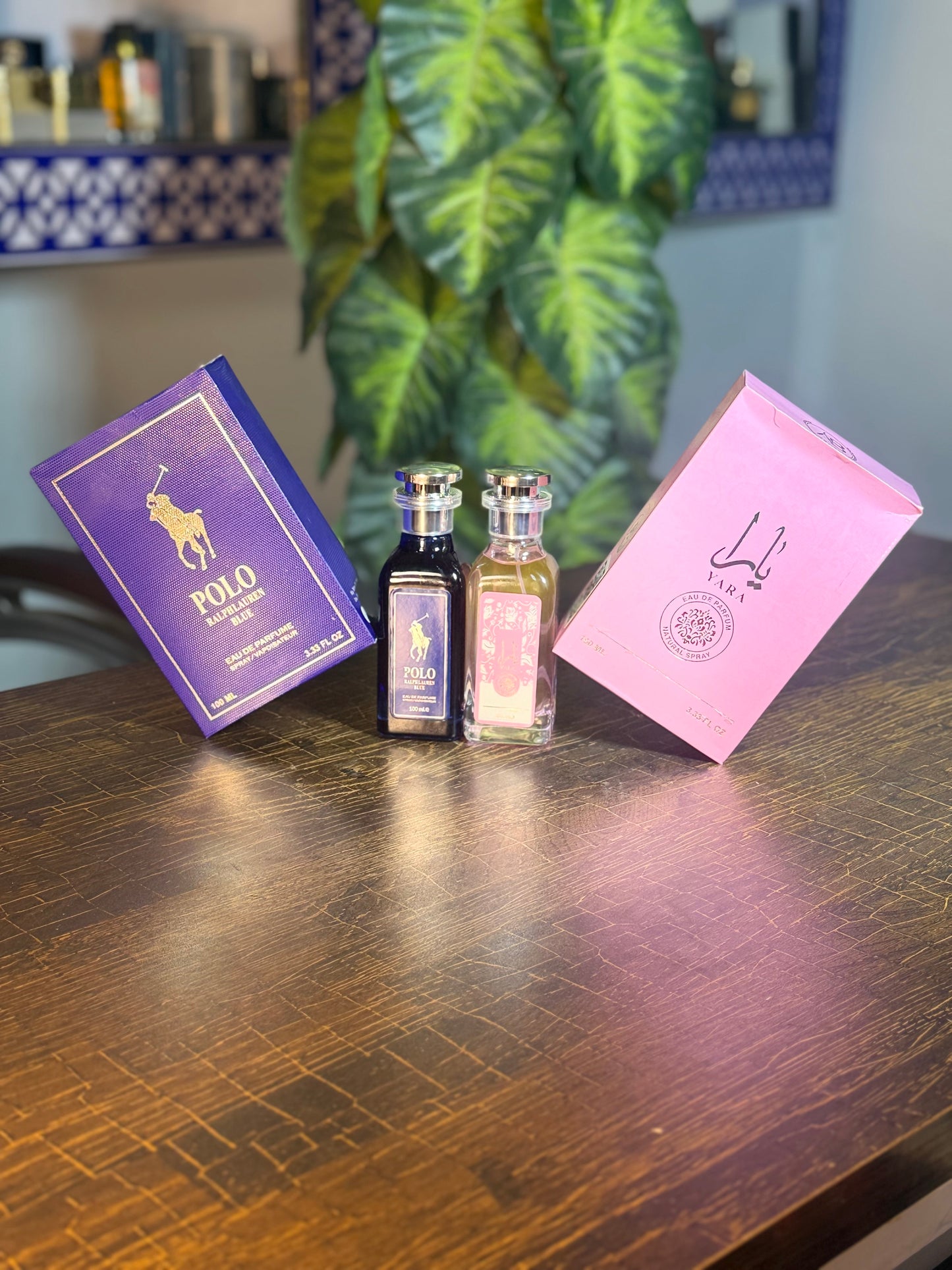 POLO & YAARA (perfumes) deal