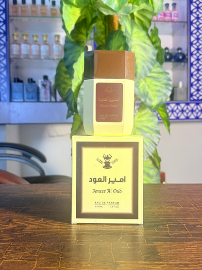 Ameer Al Oud
